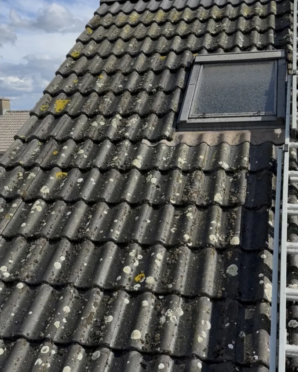 Pannendak vol mos en korstmos, voor de reiniging