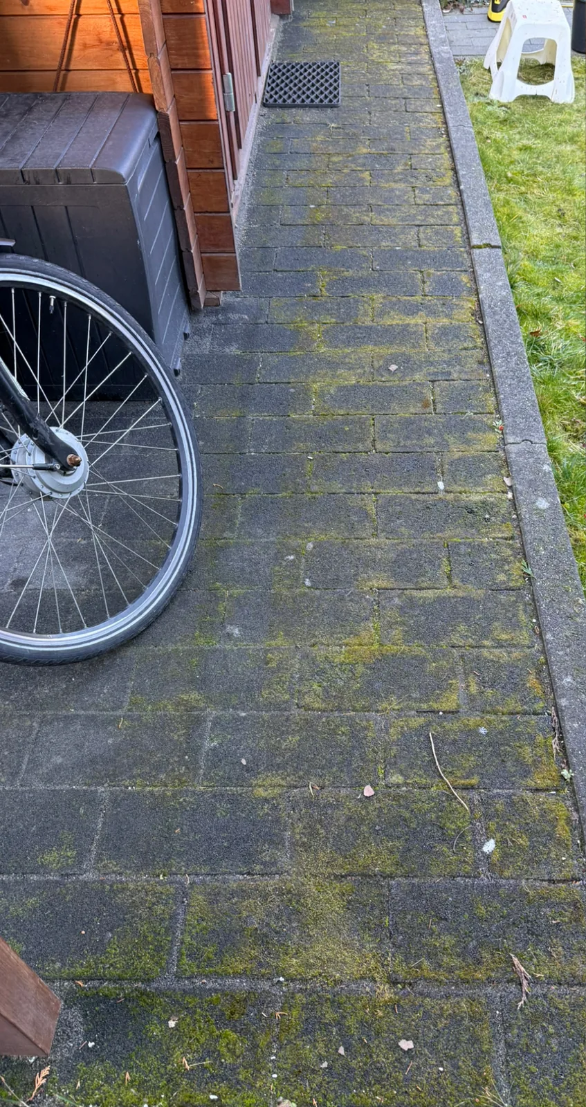 Tuinpad van klinkers, dik begroeid met groen mos
