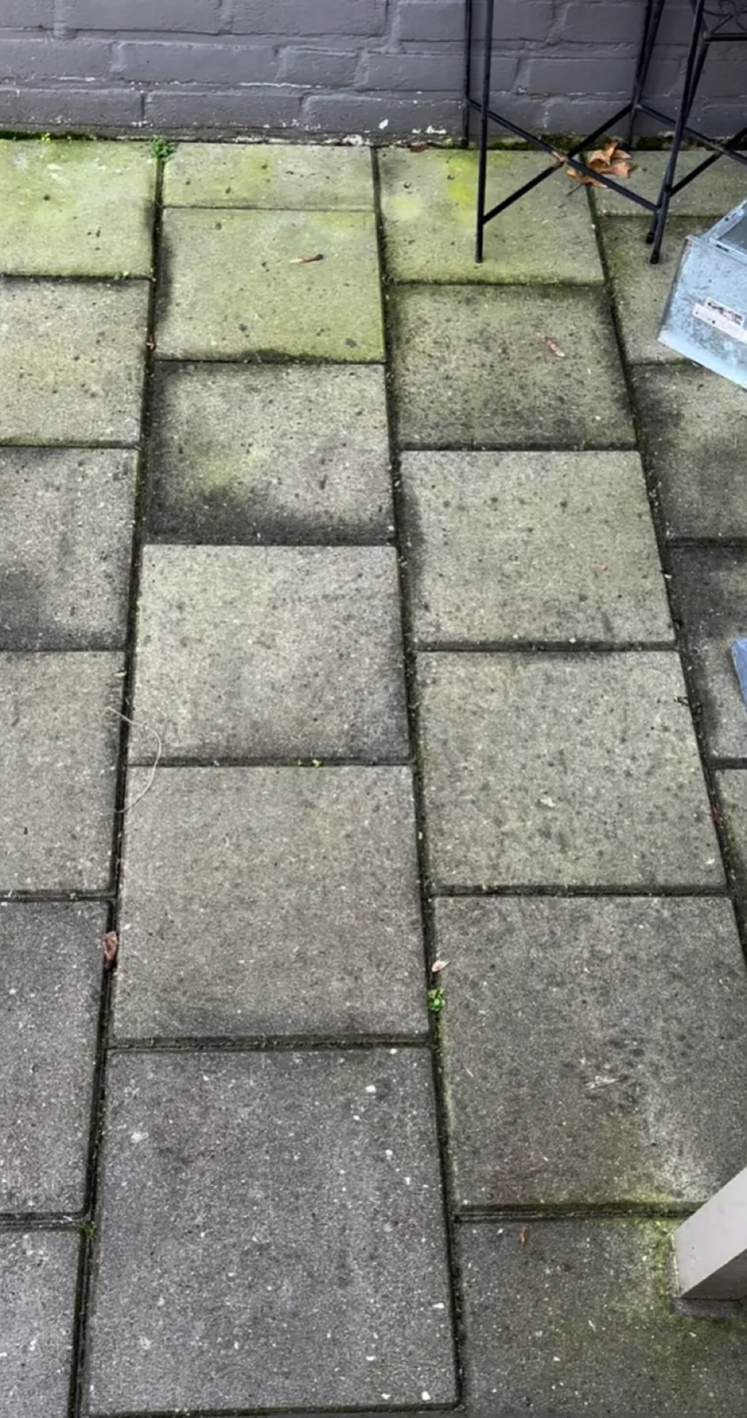 Terras van betontegels met groene aanslag en zwarte vlekken
